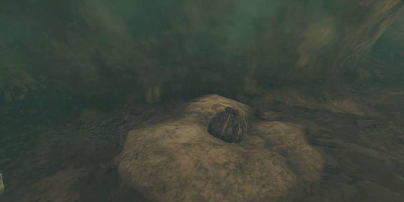 Zelda_ Tears of the Kingdom - All Mushroom Types & Where To Find Them hearty truffle