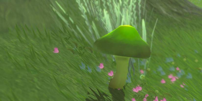 Zelda_ Tears of the Kingdom - All Mushroom Types & Where To Find Them stamella shroom
