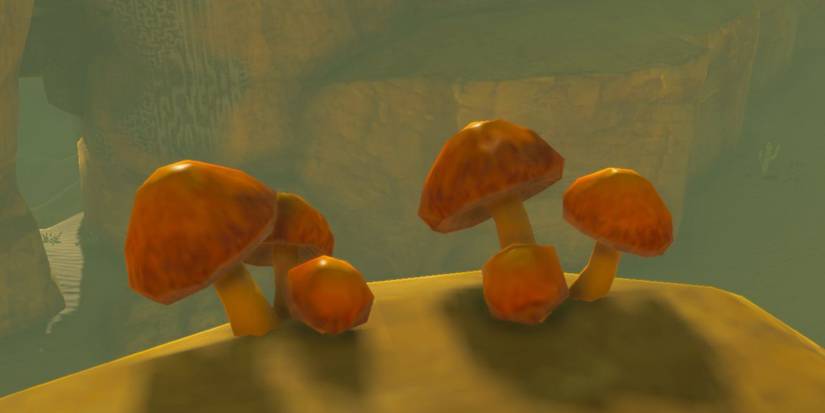 Zelda_ Tears of the Kingdom - All Mushroom Types & Where To Find Them sunshroom