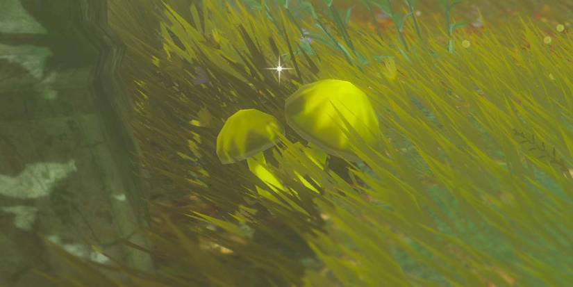 Zelda_ Tears of the Kingdom - All Mushroom Types & Where To Find Them zapshroom