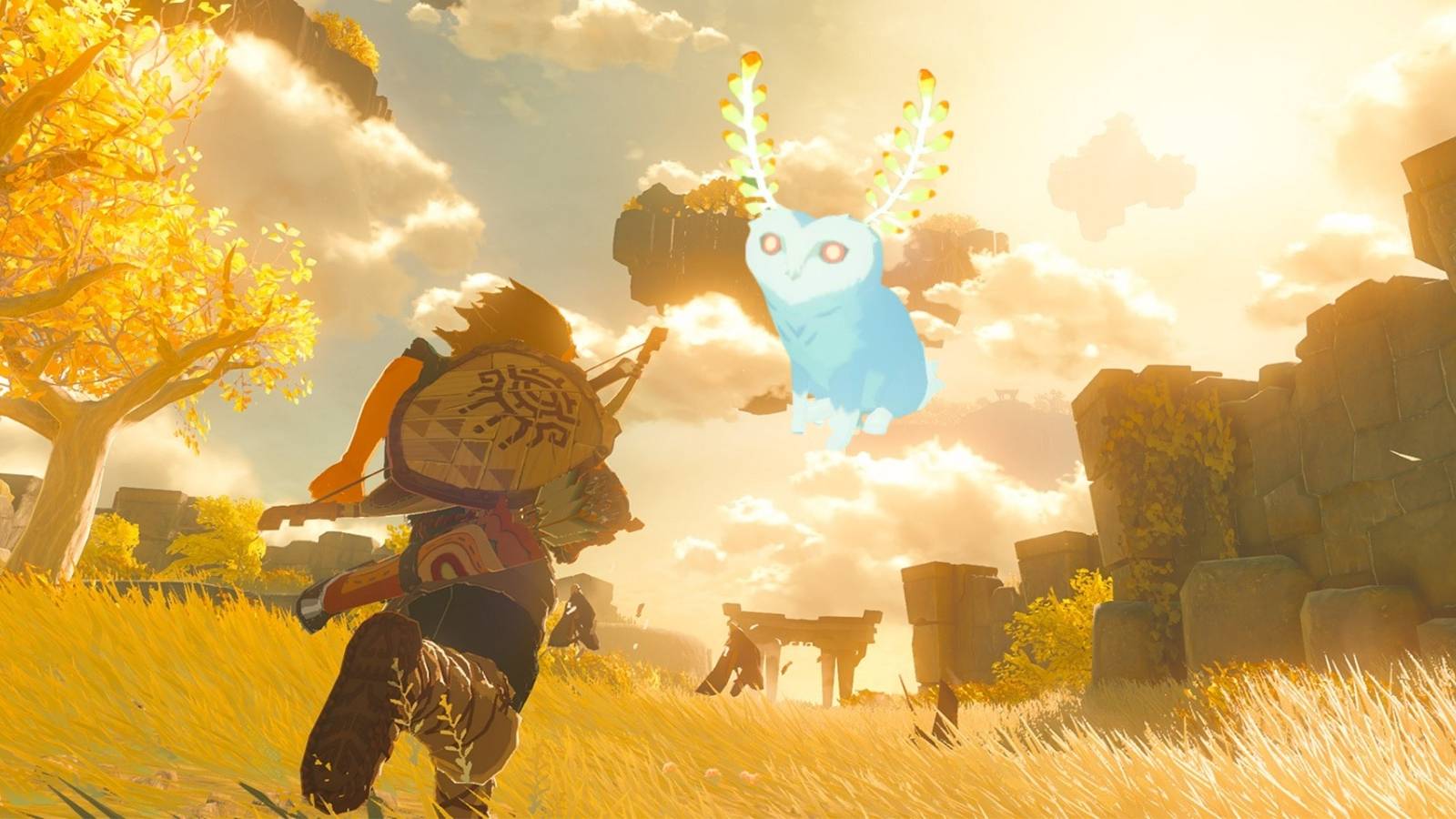 Zelda Tears of the Kingdom Blupee Discovery