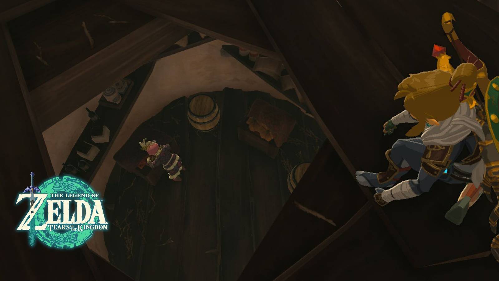 Zelda_ Tears of the Kingdom - Cece's Secret feature