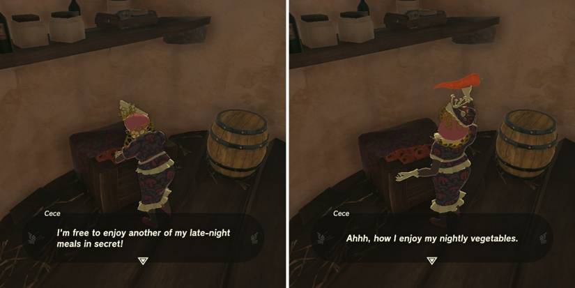 Zelda_ Tears of the Kingdom - Cece's Secret reveal