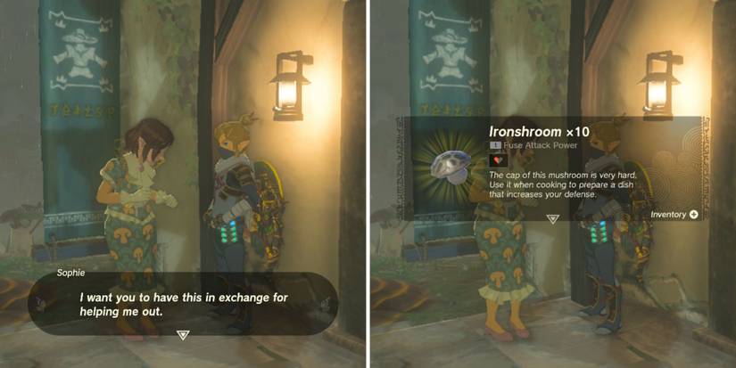 Zelda_ Tears of the Kingdom - Cece's Secret reward