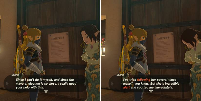 Zelda_ Tears of the Kingdom - Cece's Secret trigger