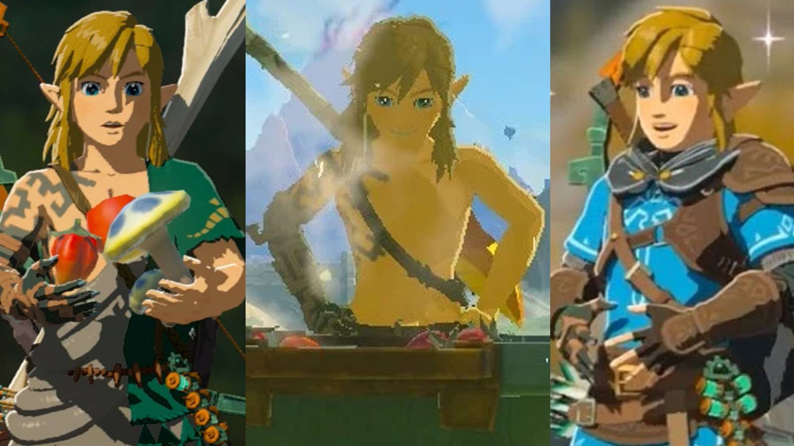Link holding ingredients; Link watching a pot cook; Link after eating