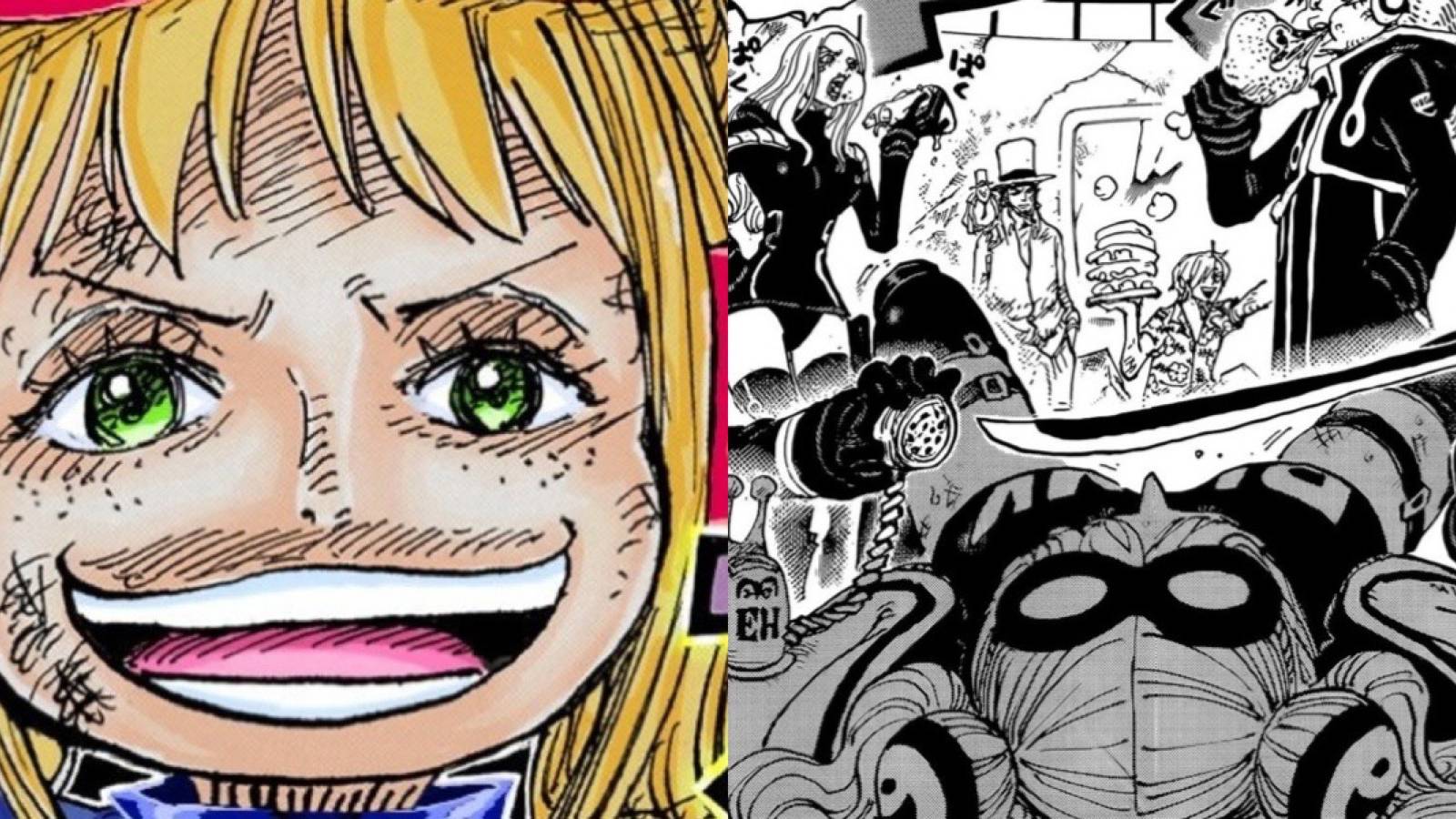 York’s plan one piece 