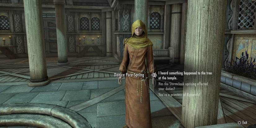 Speaking to Danica Pure-Spring in Skyrim