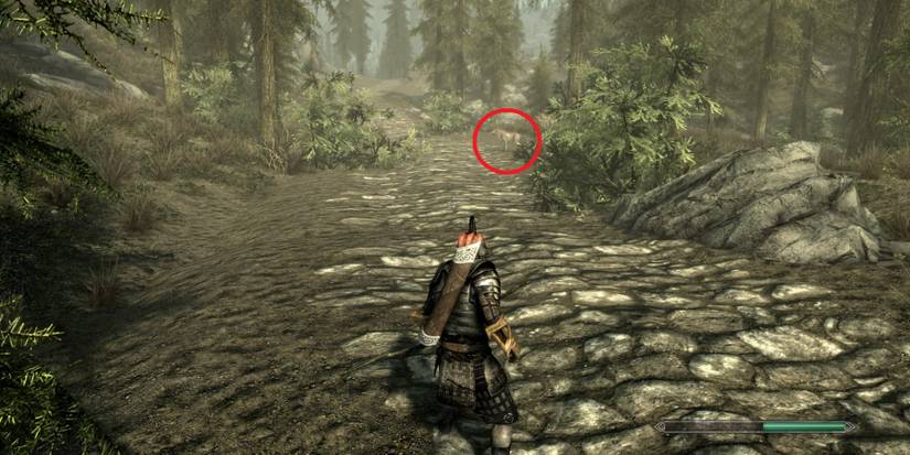 The Dragonborn finds Meeko in Skyrim