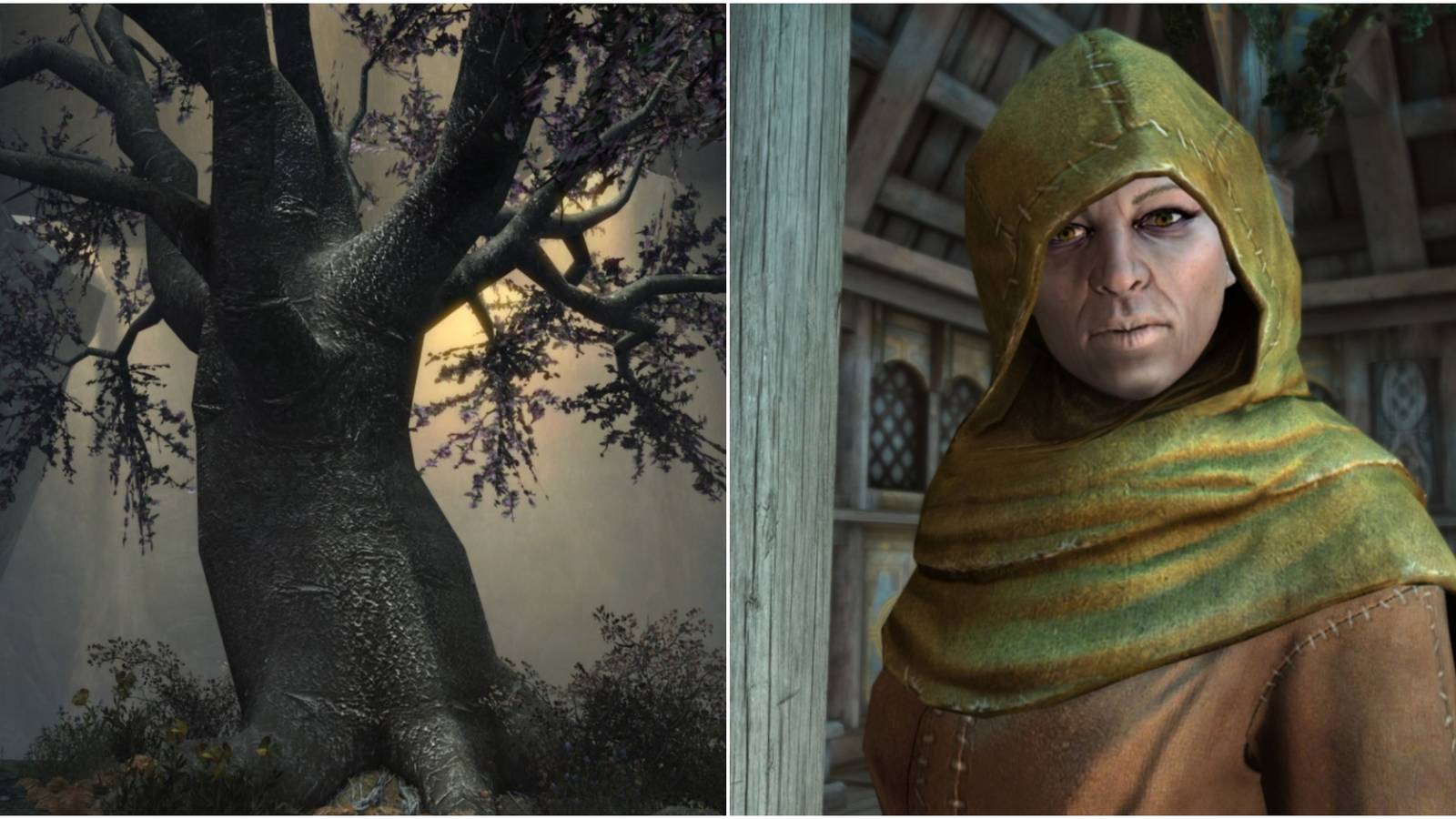 Completing The Blessings of Nature quest in Skyrim