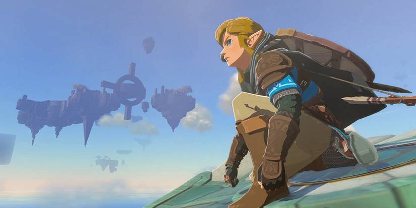 Tears of the Kingdom Player Creates Rathian From Monster Hunter