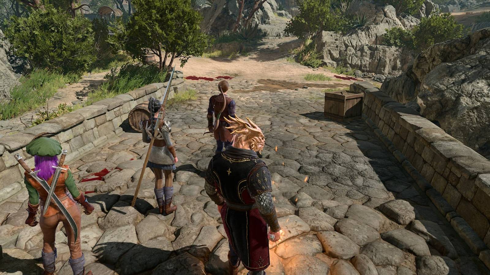 Baldur's Gate 3: How to Get To Risen Road