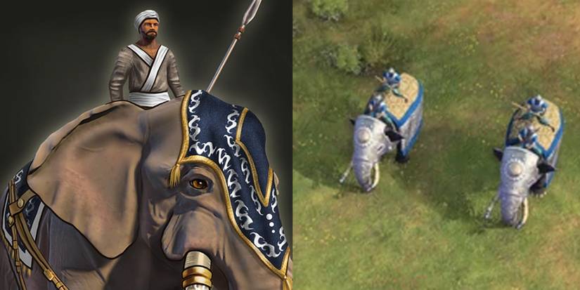 Age of Empires 3 Best Cavalry War Elephant