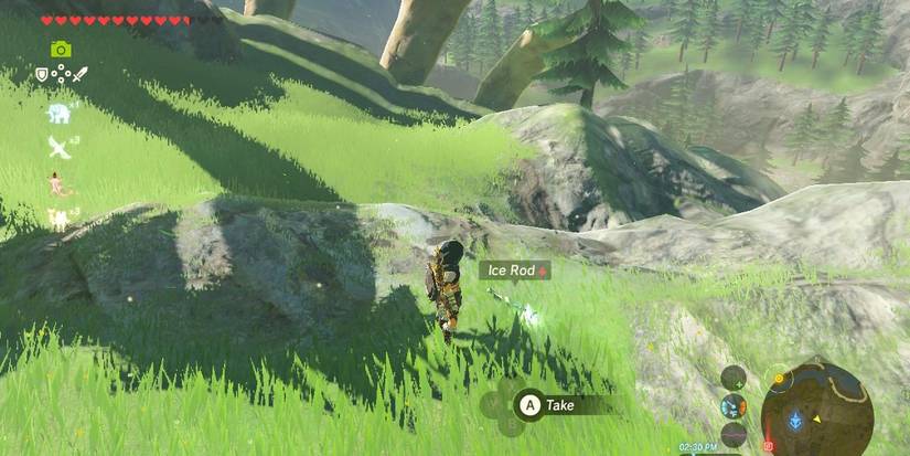 An Ice Rod in Breath of the Wild