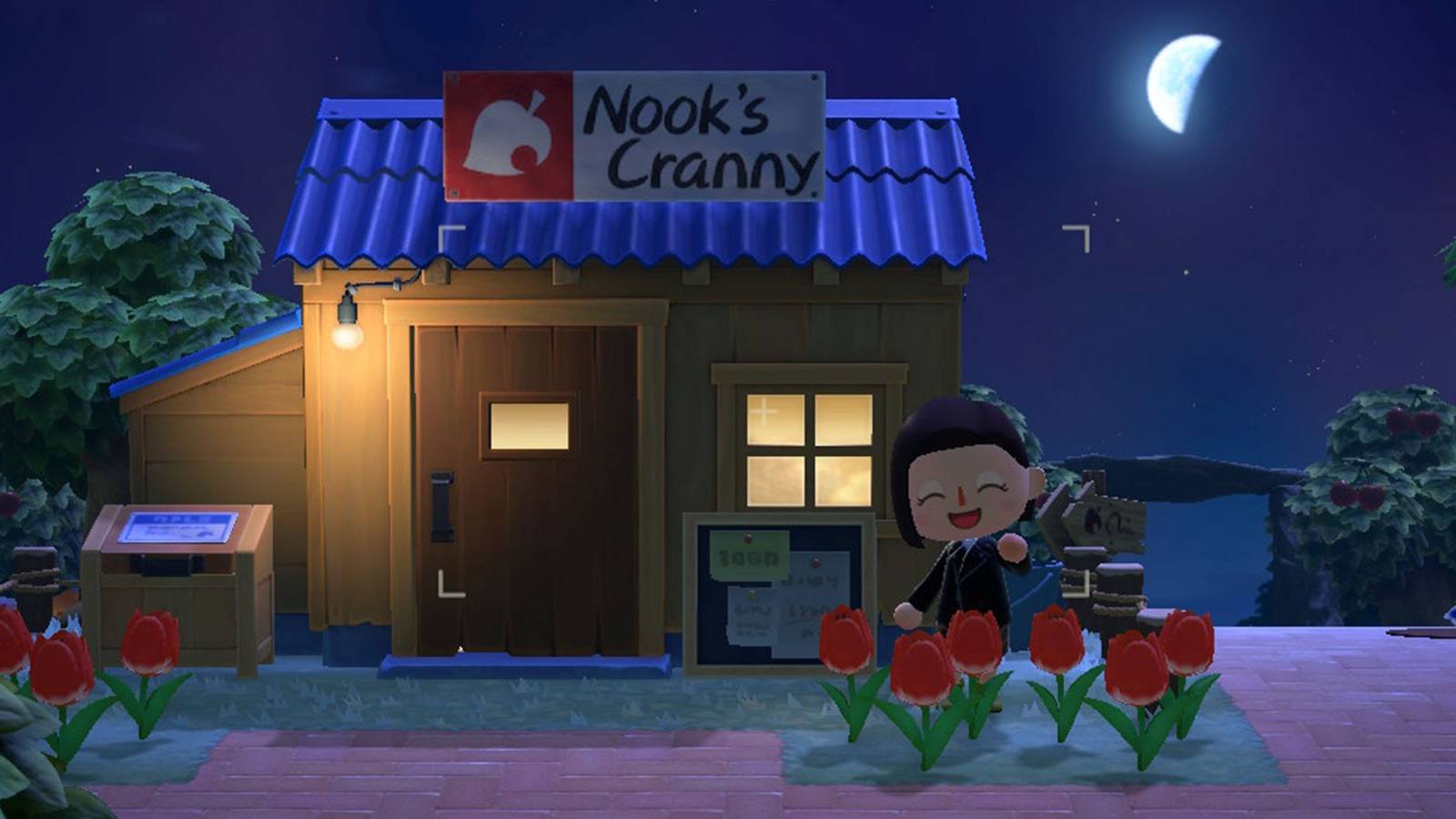 animal-crossing-new-horizons-night