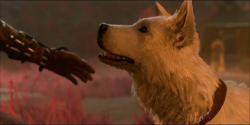 Baldur's Gate 3 Animal Handling