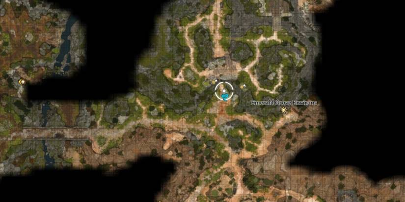 Baldur's Gate 3 - Emerald Grove location