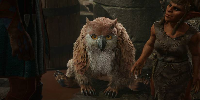 Baldur's Gate 3 Owlbear cub in Act 1 Goblin camp screenshot