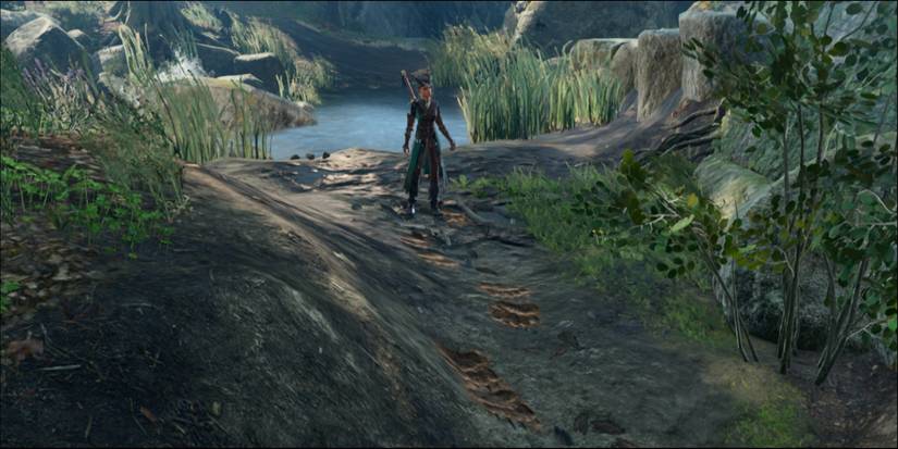 Baldur's Gate 3 Survival