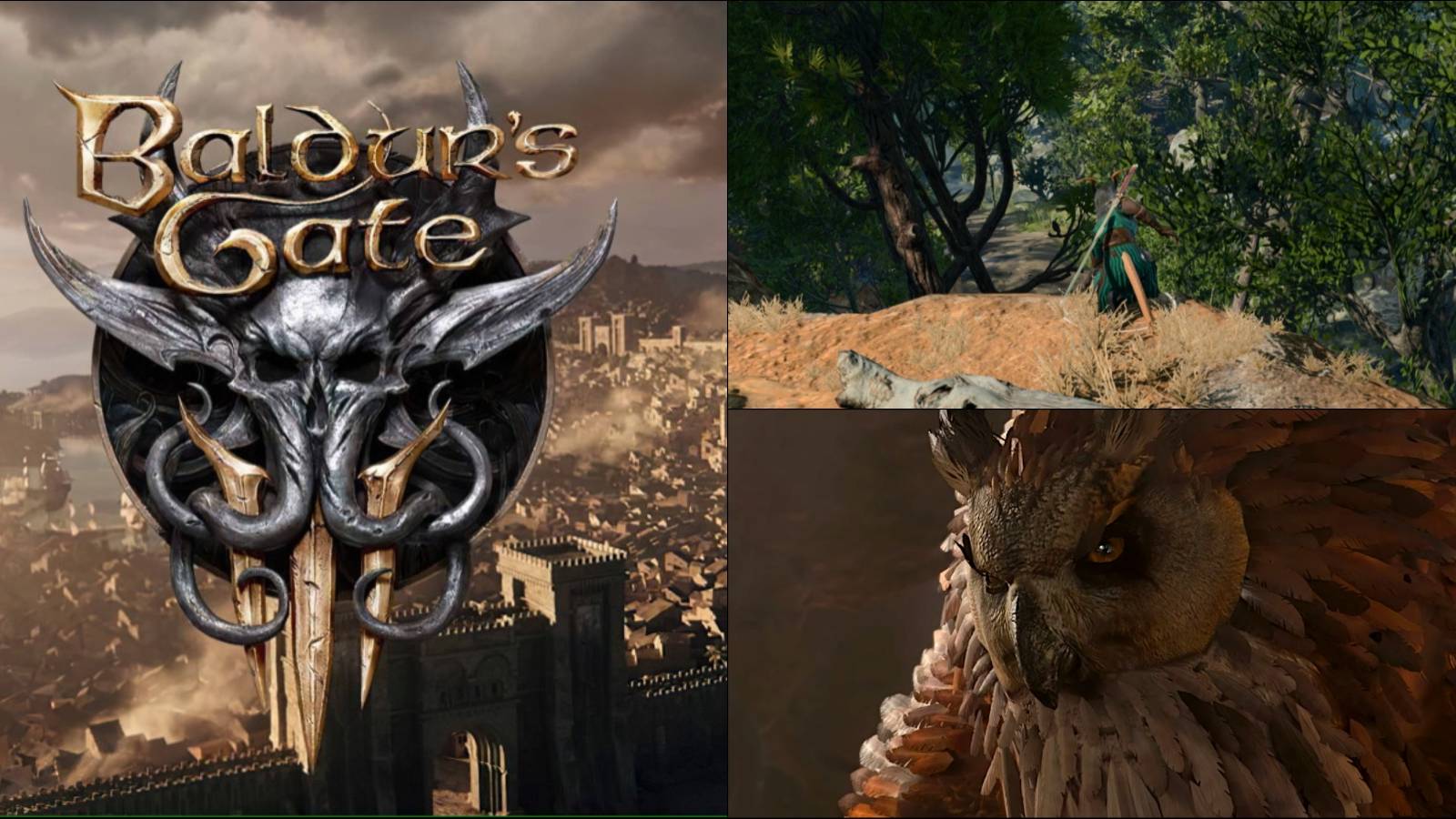 Baldur's Gate 3 Wisdom Skills