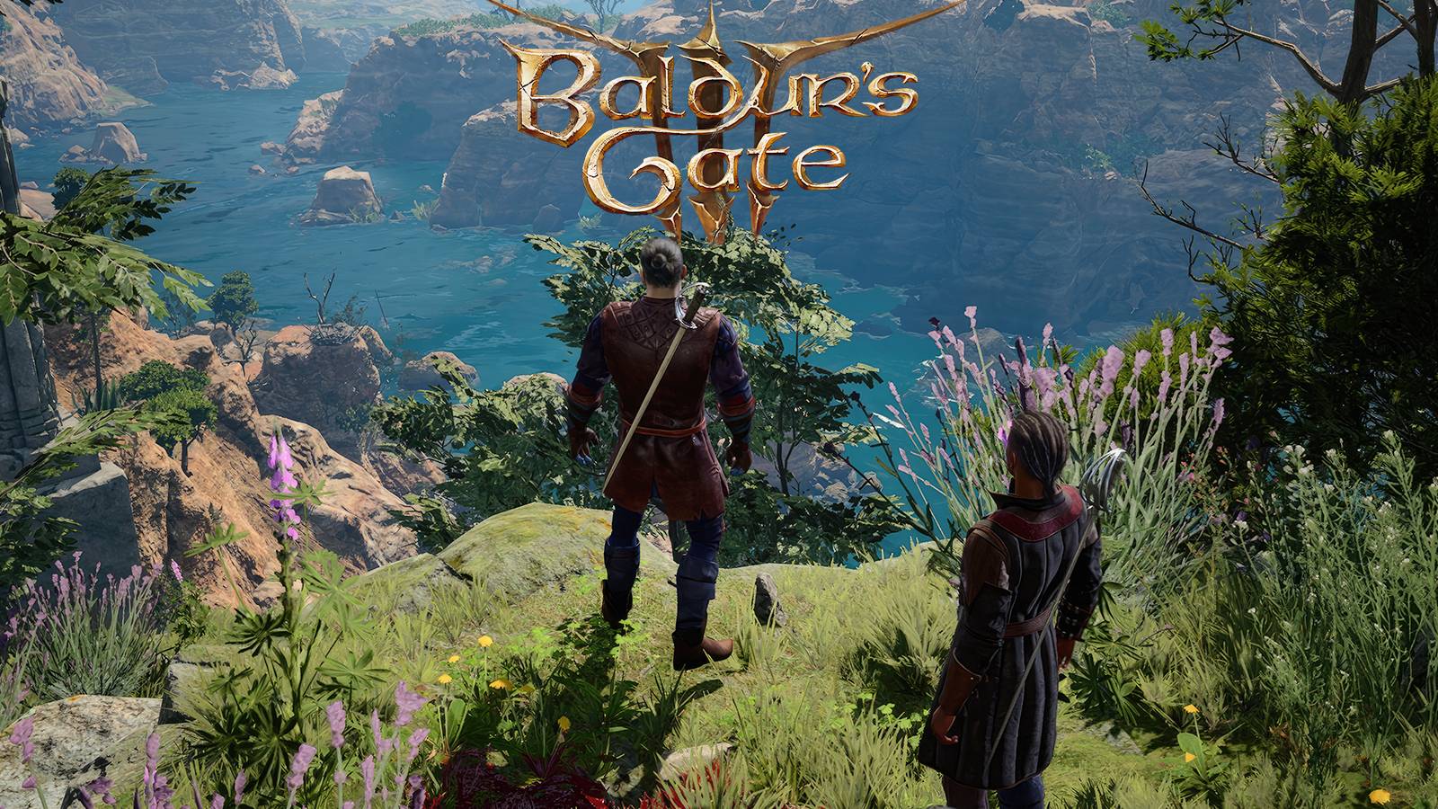 Baldurs Gate 3 Act 1 river cliff landscape screenshot