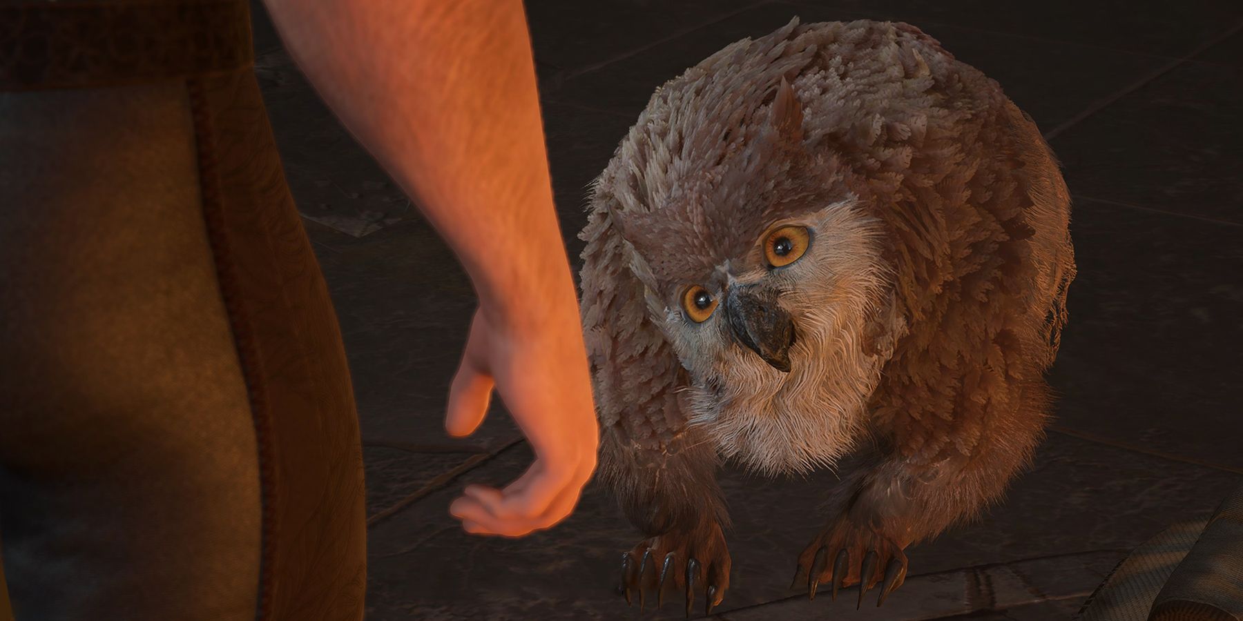 Baldurs Gate 3 cute owlbear cub tilting its head