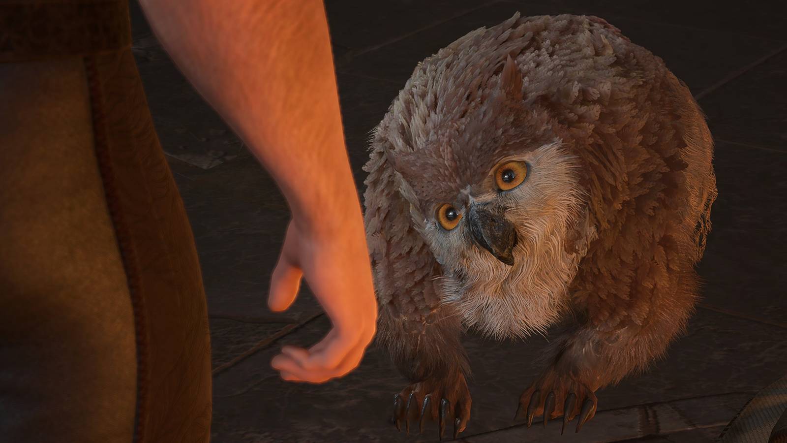 Baldurs Gate 3 cute owlbear cub tilting its head