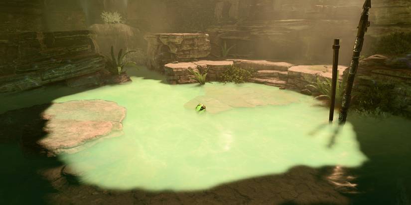 Baldur's Gate 3 Gith Egg