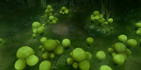 baldurs gate 3 mushroom picker