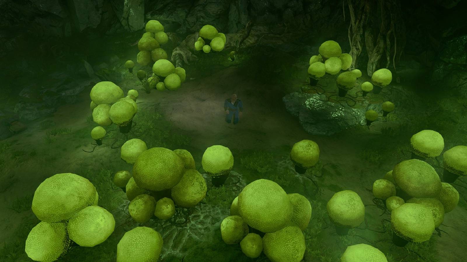 baldurs gate 3 mushroom picker