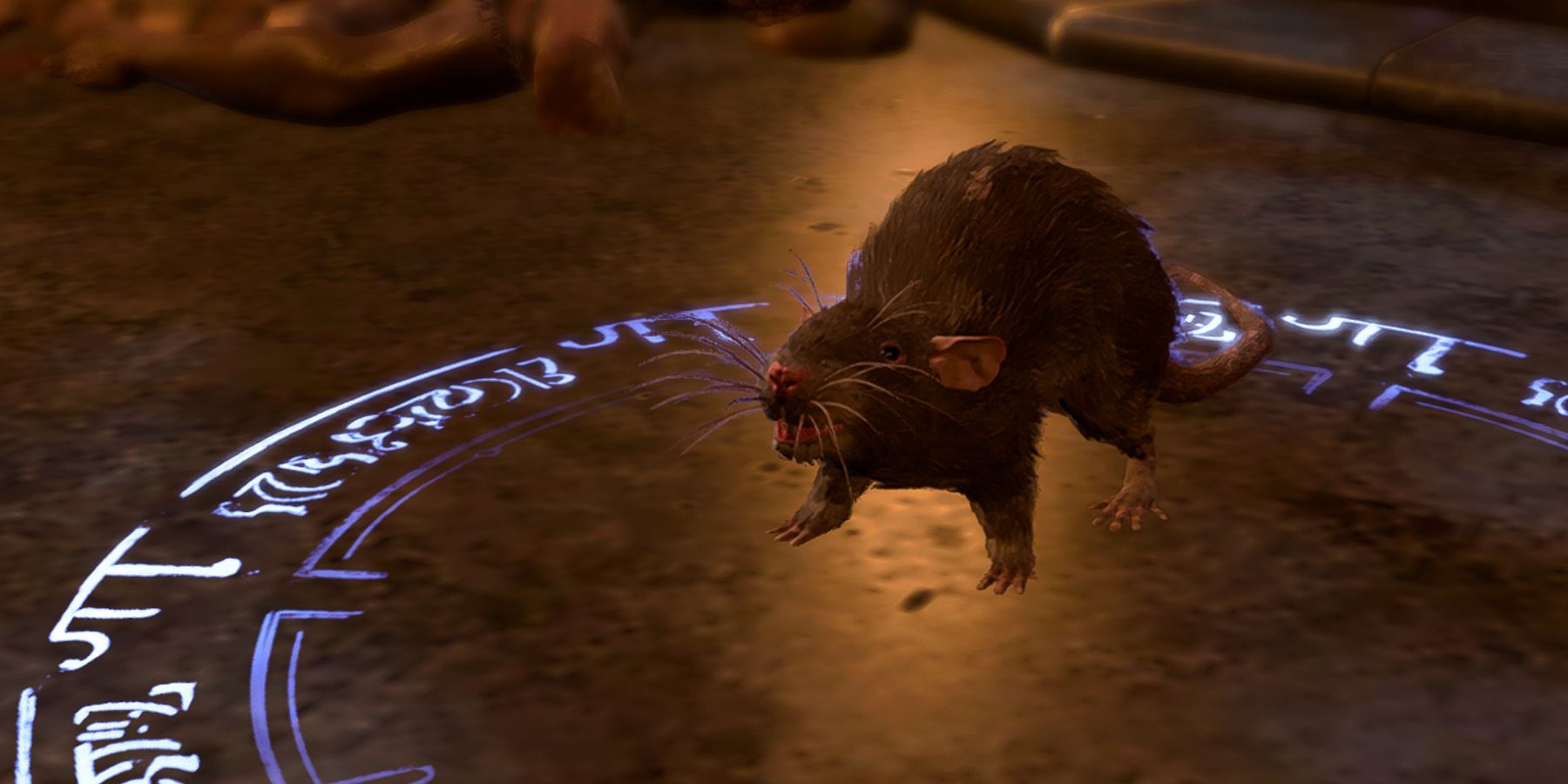 Baldurs Gate 3 Tiny Creature Size Rat Speak with Animals