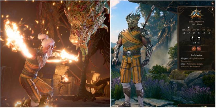 Baldurs Gate 3_Monk Subclass