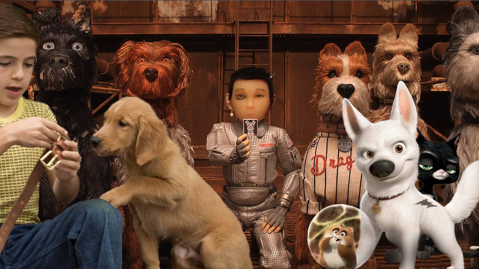 Best-Dog-Movies,-Ranked