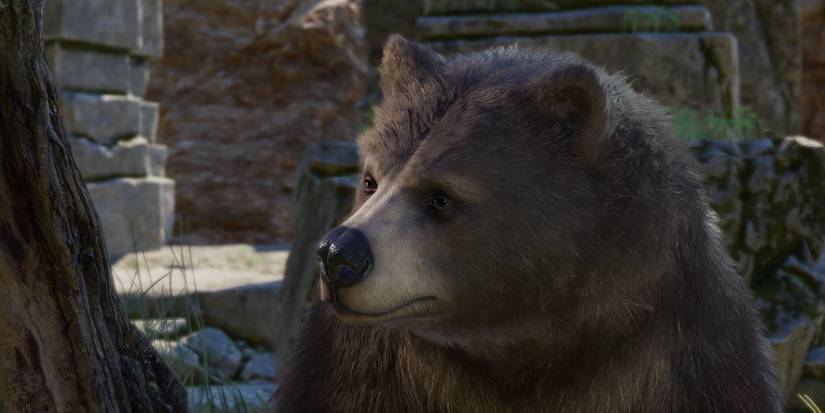 baldurs-gate-3-druid-bear-wild-shape