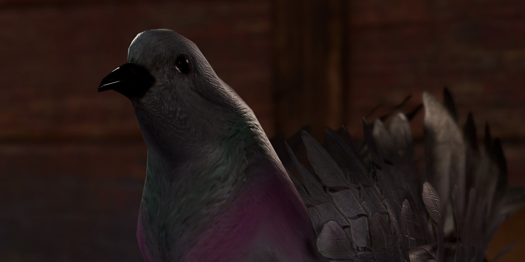 Featured Image of a Pigeon for the Where To Find The Missing Letters Guide (BG3)