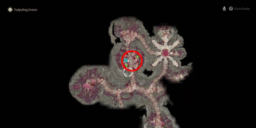 bg3 find zevlor act 2