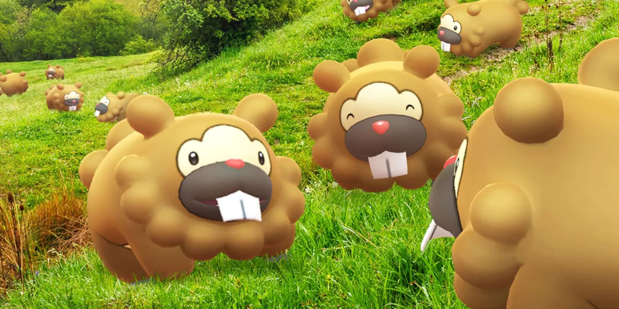 Bidoof Pokemon Go Promotion Art