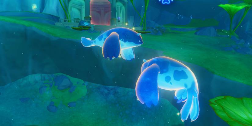 blubberbeast sonar Genshin Impact-1