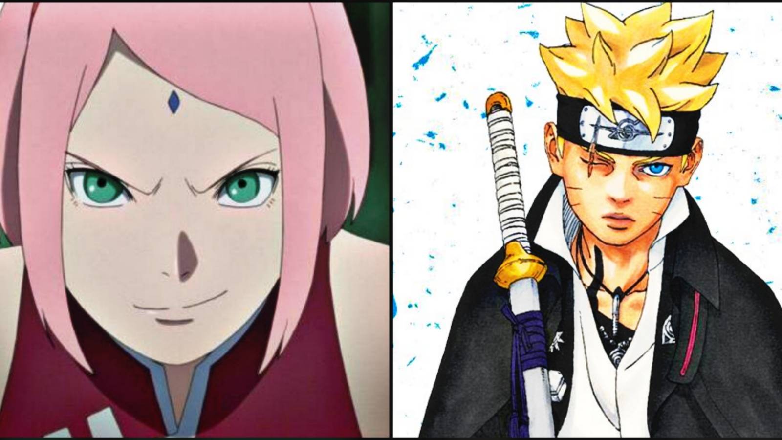 Boruto Sakura Role 