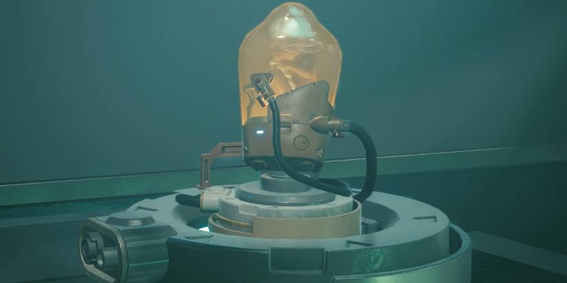 bridge baby in cyberpunk 2077