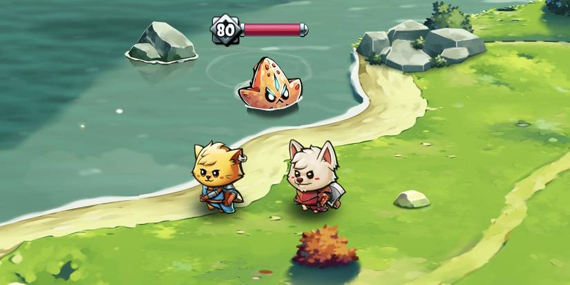 Two cats in swimsuits standing by a river