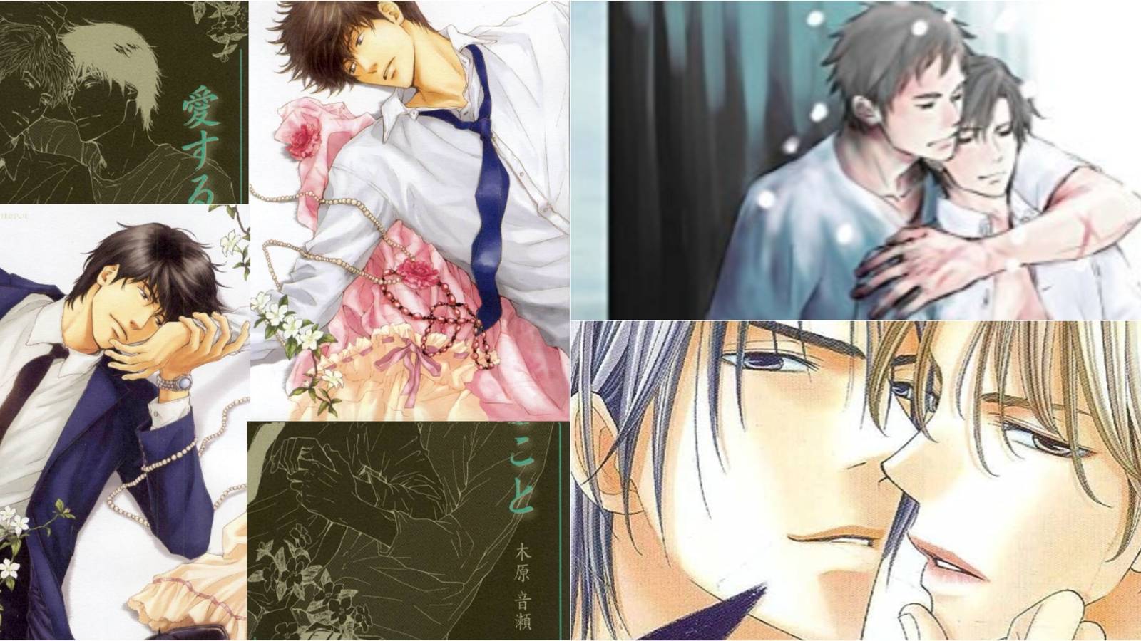 Boys Love Light Novels Without an Anime