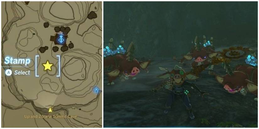 ice fruit bokoblins in zorana summit cave