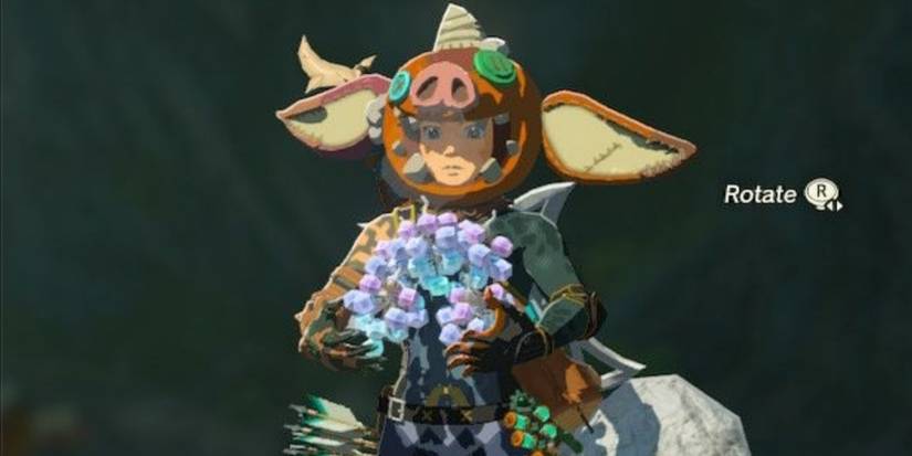 link carrying tons of ice fruit bokoblin mask
