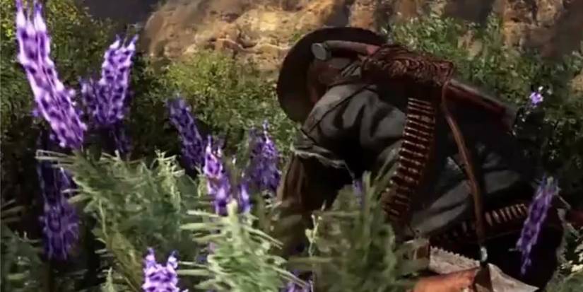 john marston picking plants