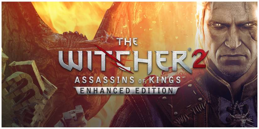 The Witcher 2: Assassins Of Kings banner art
