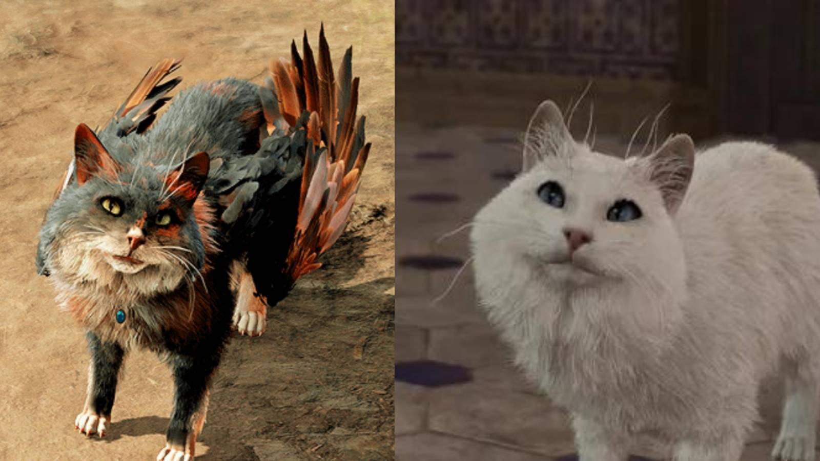 cutest-cats-baldurs-gate-3