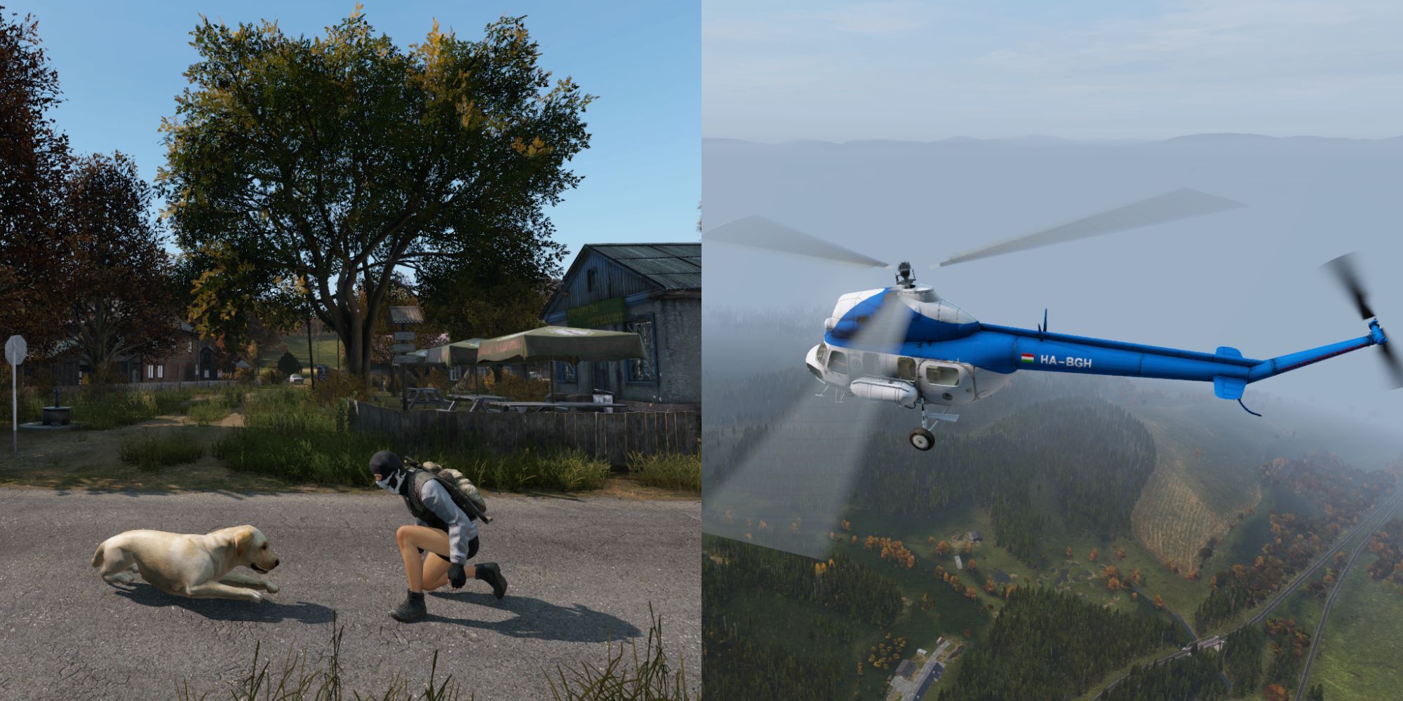 DayZ-Dog and Helicopter Must-Try Mods