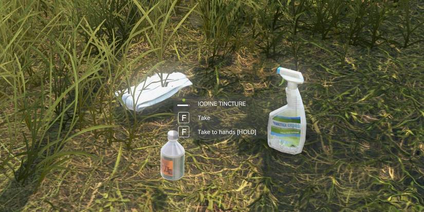 DayZ Iodine Tincture, Disinfectant Rags
