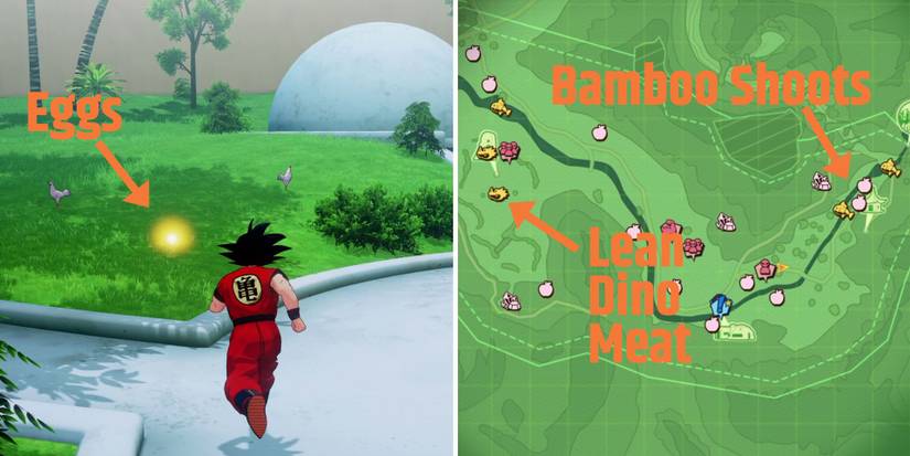 dbz-kakarot-23rd-world-tournament-a-little-alone-time-ingredients